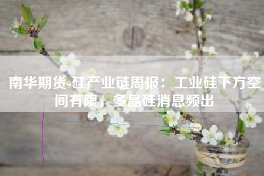 南华期货-硅产业链周报：工业硅下方空间有限，多晶硅消息频出