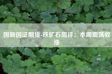 国新国证期货-铁矿石周评：本周震荡收涨
