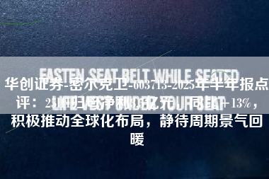 华创证券-密尔克卫-603713-2025年半年报点评：25H1归母净利3.5亿元，同比+13%，积极推动全球化布局，静待周期景气回暖