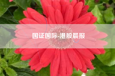 国证国际-港股晨报