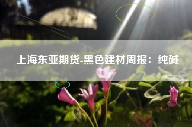 上海东亚期货-黑色建材周报：纯碱