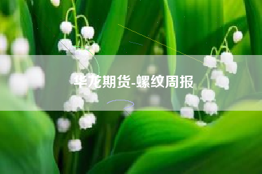 华龙期货-螺纹周报