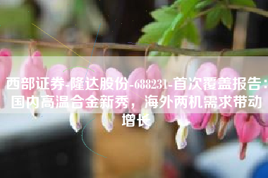 西部证券-隆达股份-688231-首次覆盖报告：国内高温合金新秀，海外两机需求带动增长