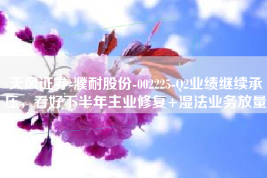 天风证券-濮耐股份-002225-Q2业绩继续承压，看好下半年主业修复+湿法业务放量