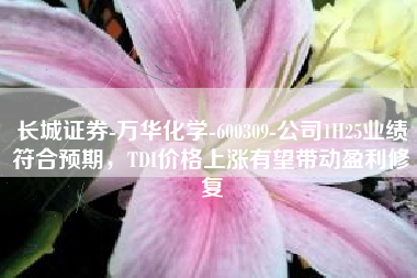 长城证券-万华化学-600309-公司1H25业绩符合预期，TDI价格上涨有望带动盈利修复