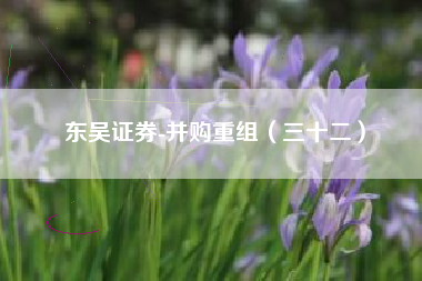 东吴证券-并购重组（三十二）
