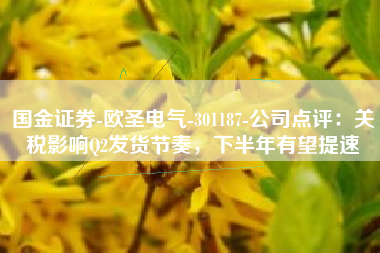 国金证券-欧圣电气-301187-公司点评：关税影响Q2发货节奏，下半年有望提速