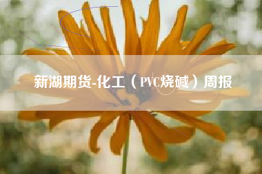 新湖期货-化工（PVC烧碱）周报
