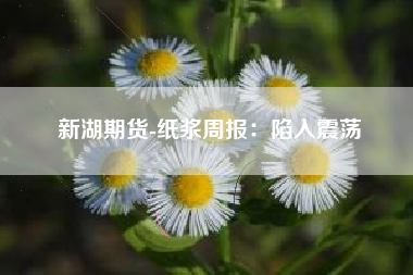 新湖期货-纸浆周报：陷入震荡
