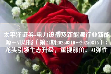 太平洋证券-电力设备及新能源行业新能源+AI周报（第21期20250810~20250816）：龙头引领生态升级，重视涨价、AI弹性