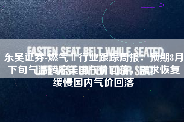 东吴证券-燃气Ⅱ行业跟踪周报：预期8月下旬气温转凉美国气价回落，需求恢复缓慢国内气价回落