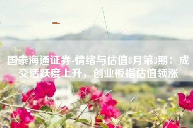 国泰海通证券-情绪与估值8月第3期：成交活跃度上升，创业板指估值领涨