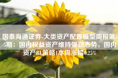 国泰海通证券-大类资产配置模型周报第35期：国内权益资产维持强劲态势，国内资产BL策略1本周涨幅0.25%