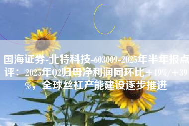 国海证券-北特科技-603009-2025年半年报点评：2025年Q2归母净利润同环比+49%/+39%，全球丝杠产能建设逐步推进