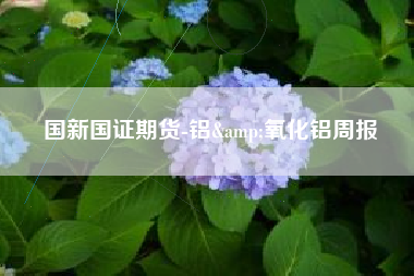国新国证期货-铝&氧化铝周报