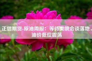 正信期货-原油周报：等待美俄会谈落地，油价低位震荡