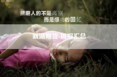 新湖期货-周报汇总