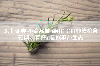 东北证券-小商品城-600415-25H1业绩符合预期，看好AI赋能平台生态