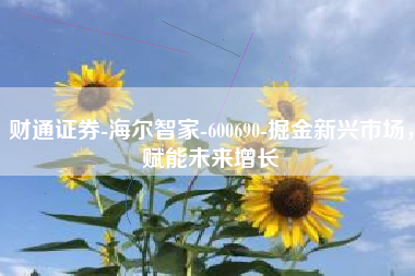 财通证券-海尔智家-600690-掘金新兴市场，赋能未来增长