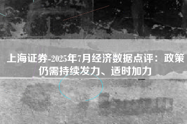 上海证券-2025年7月经济数据点评：政策仍需持续发力、适时加力
