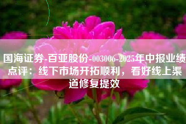 国海证券-百亚股份-003006-2025年中报业绩点评：线下市场开拓顺利，看好线上渠道修复提效