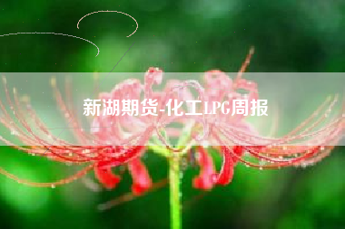 新湖期货-化工LPG周报