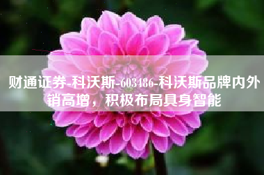 财通证券-科沃斯-603486-科沃斯品牌内外销高增，积极布局具身智能