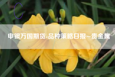 申银万国期货-品种策略日报~贵金属