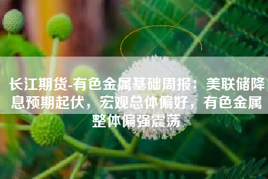 长江期货-有色金属基础周报：美联储降息预期起伏，宏观总体偏好，有色金属整体偏强震荡