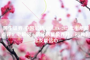 民生证券-中国宏桥-1378.HK-2025年半年报点评：电解铝+氧化铝量价齐升，回购彰显发展信心