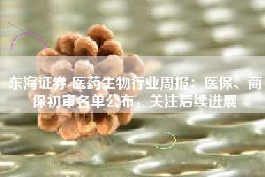 东海证券-医药生物行业周报：医保、商保初审名单公布，关注后续进展