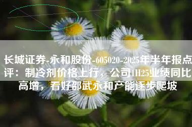 长城证券-永和股份-605020-2025年半年报点评：制冷剂价格上行，公司1H25业绩同比高增，看好邵武永和产能逐步爬坡