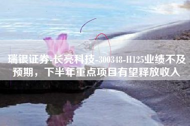 瑞银证券-长亮科技-300348-H125业绩不及预期，下半年重点项目有望释放收入