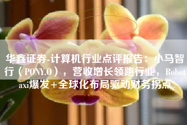 华鑫证券-计算机行业点评报告：小马智行（PONY.O），营收增长领跑行业，Robotaxi爆发+全球化布局驱动财务拐点