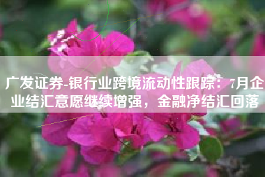 广发证券-银行业跨境流动性跟踪：7月企业结汇意愿继续增强，金融净结汇回落