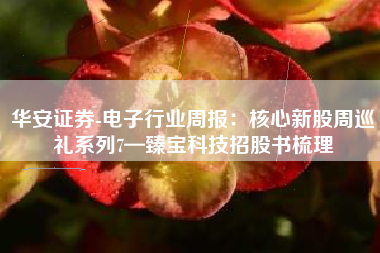 华安证券-电子行业周报：核心新股周巡礼系列7—臻宝科技招股书梳理