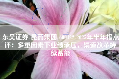东吴证券-昆药集团-600422-2025年半年报点评：多重因素下业绩承压，渠道改革持续蓄能