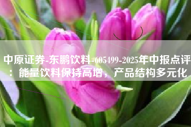 中原证券-东鹏饮料-605499-2025年中报点评：能量饮料保持高增，产品结构多元化