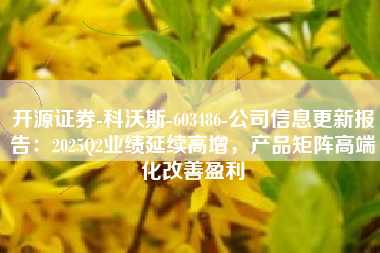 开源证券-科沃斯-603486-公司信息更新报告：2025Q2业绩延续高增，产品矩阵高端化改善盈利