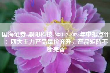 国海证券-鼎阳科技-688112-2025年中报点评：四大主力产品量价齐升，产品矩阵不断完善