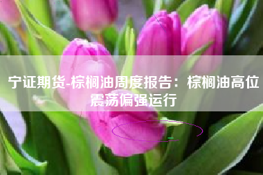 宁证期货-棕榈油周度报告：棕榈油高位震荡偏强运行