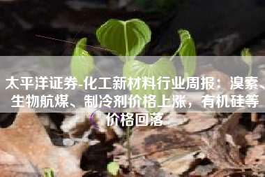 太平洋证券-化工新材料行业周报：溴素、生物航煤、制冷剂价格上涨，有机硅等价格回落