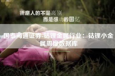 国泰海通证券-钴锂金属行业：钴锂小金属周度数据库