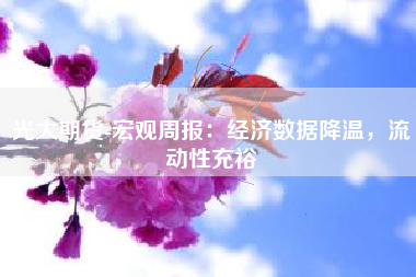 光大期货-宏观周报：经济数据降温，流动性充裕