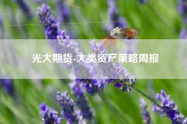 光大期货-大类资产策略周报