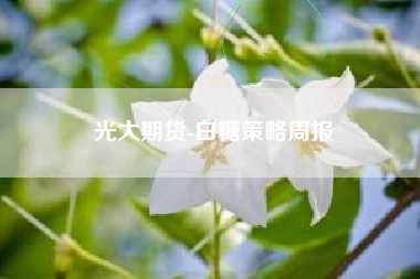 光大期货-白糖策略周报