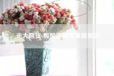 光大期货-碳酸锂周度策略报告