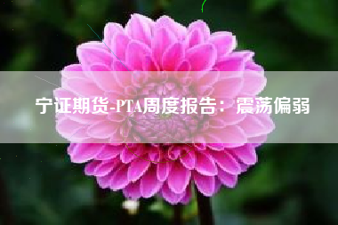 宁证期货-PTA周度报告：震荡偏弱