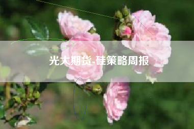 光大期货-硅策略周报