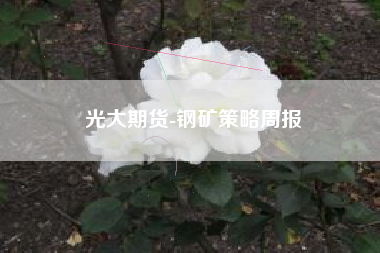 光大期货-钢矿策略周报